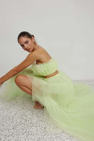 
                  
                    Tulle Ball Gowns for hire Perth
                  
                